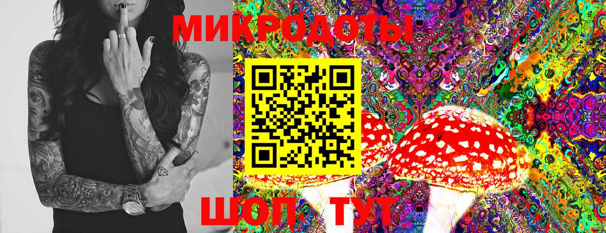 Галлюциногенные грибы Psilocybe  Вход с VPN  Тайшет  Галлюциногенные грибы MAGIC MUSHROOMS 